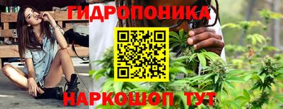 индика Наро-Фоминск